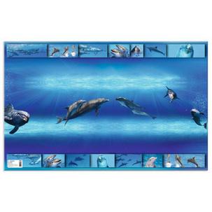 Motiv: Delfin, Rückseite 19676