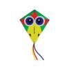 Lenkdrache Classic Kite "Crazy Bird"