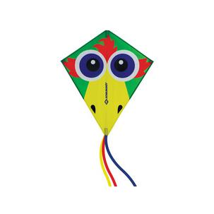 Lenkdrache Classic Kite "Crazy Bird" 970411