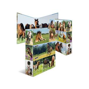 Motiv: Pferdewiese 19251