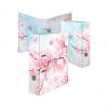 Cherry Blossom