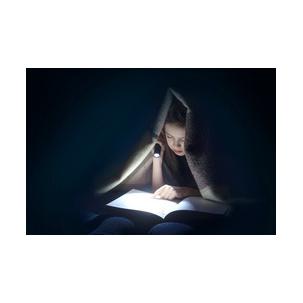 Symbolbild: zeigt das Produkt in der Anwendung 1600-0428