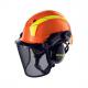 Schutzhelm pheos forestry 9774237