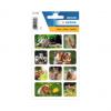 Sticker DECOR "Tierfotografien"