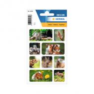 Sticker DECOR "Tierfotografien"