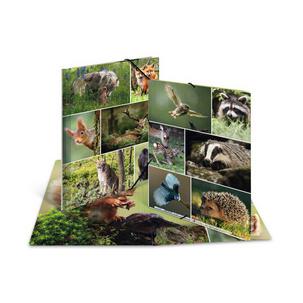 Motiv: Waldtiere 19344