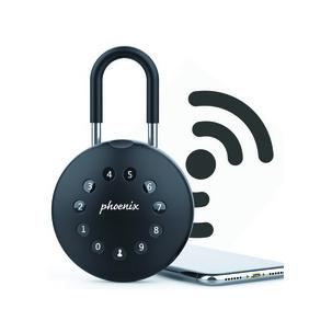 Schlüsselbox PALM KS0213ES, mit Schlossbügel KS0213ES