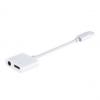USB Adapter, USB C-Stecker - 3,5 mm Klinke Kupplung + USB-C Kupplung