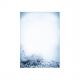 "Blue Harmony" DP634