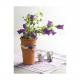grau, 1.000 g 570173