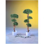 EUROPALMS Bonsai-Palmenbaum, Kunstpflanze, 180cm (82511516)