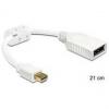 DisplayPort Adapter