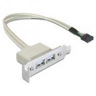 DELOCK Slotblech - USB 2.0 2xPort Low Profile (83119)