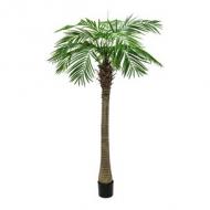 EUROPALMS Phönixpalme luxor, Kunstpflanze, 150cm (82510720)