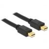 DisplayPort Adapter