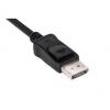 DisplayPort Adapter